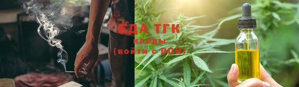 сатива Ельня