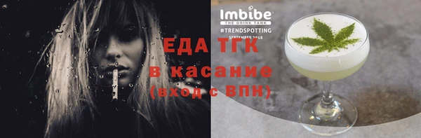 СК Елизово