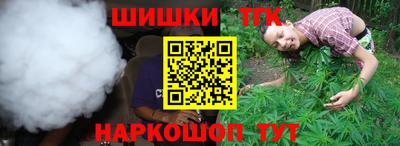 стаф Абакан