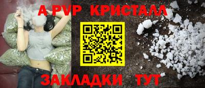 стаф Абакан