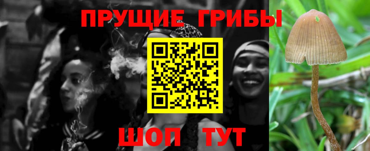 Псилоцибиновые грибы Psilocybine cubensis Алатырь